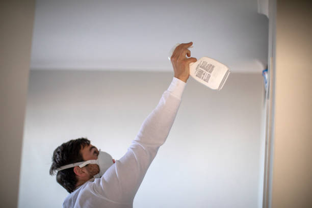 Best Emergency Mold Removal  in Reidland, KY